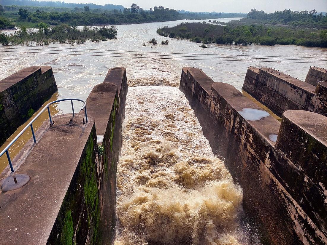 Pong Dam – Wildlife Sanctuary